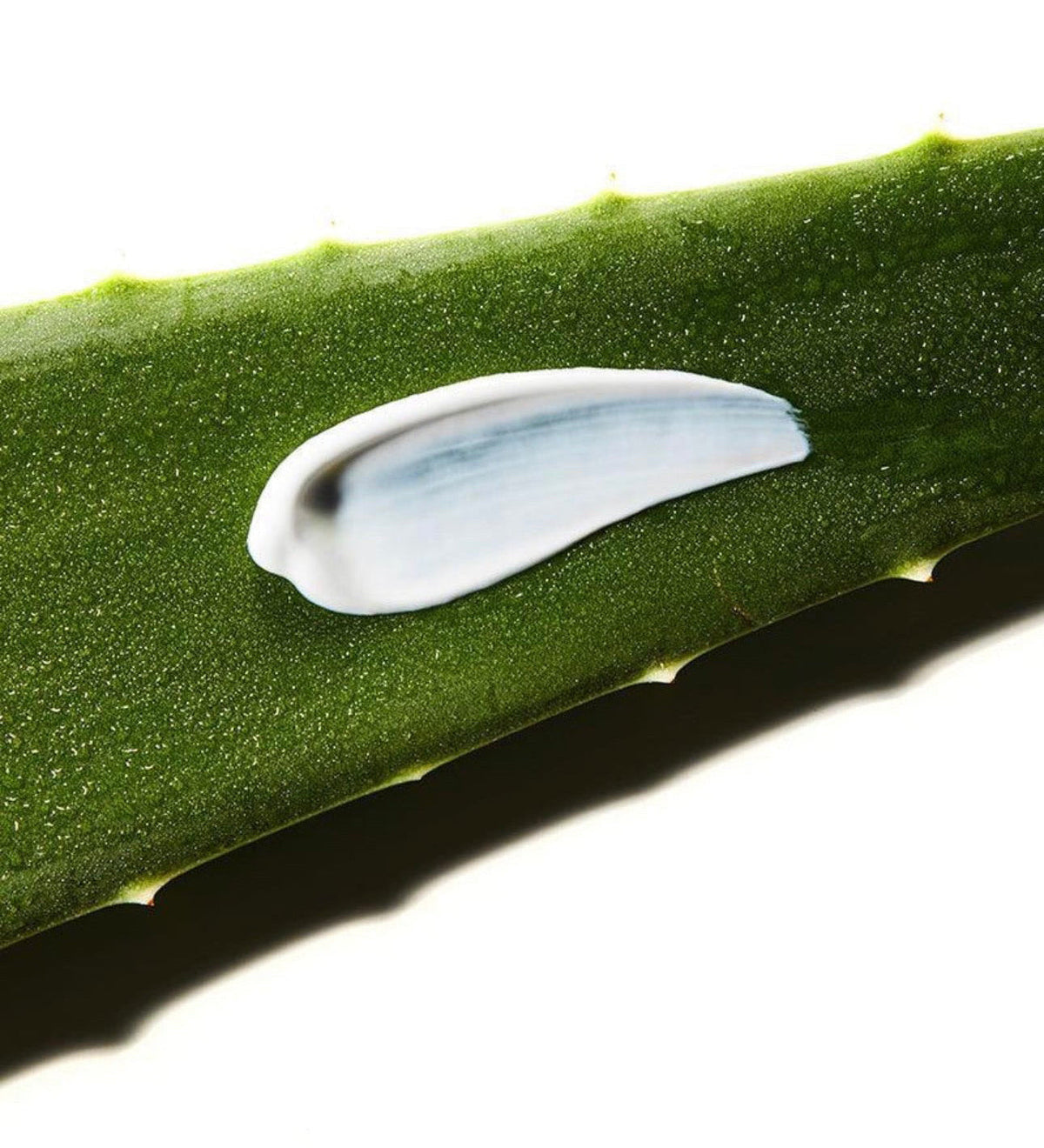 COSRX Aloe Soothing Sun Cream
