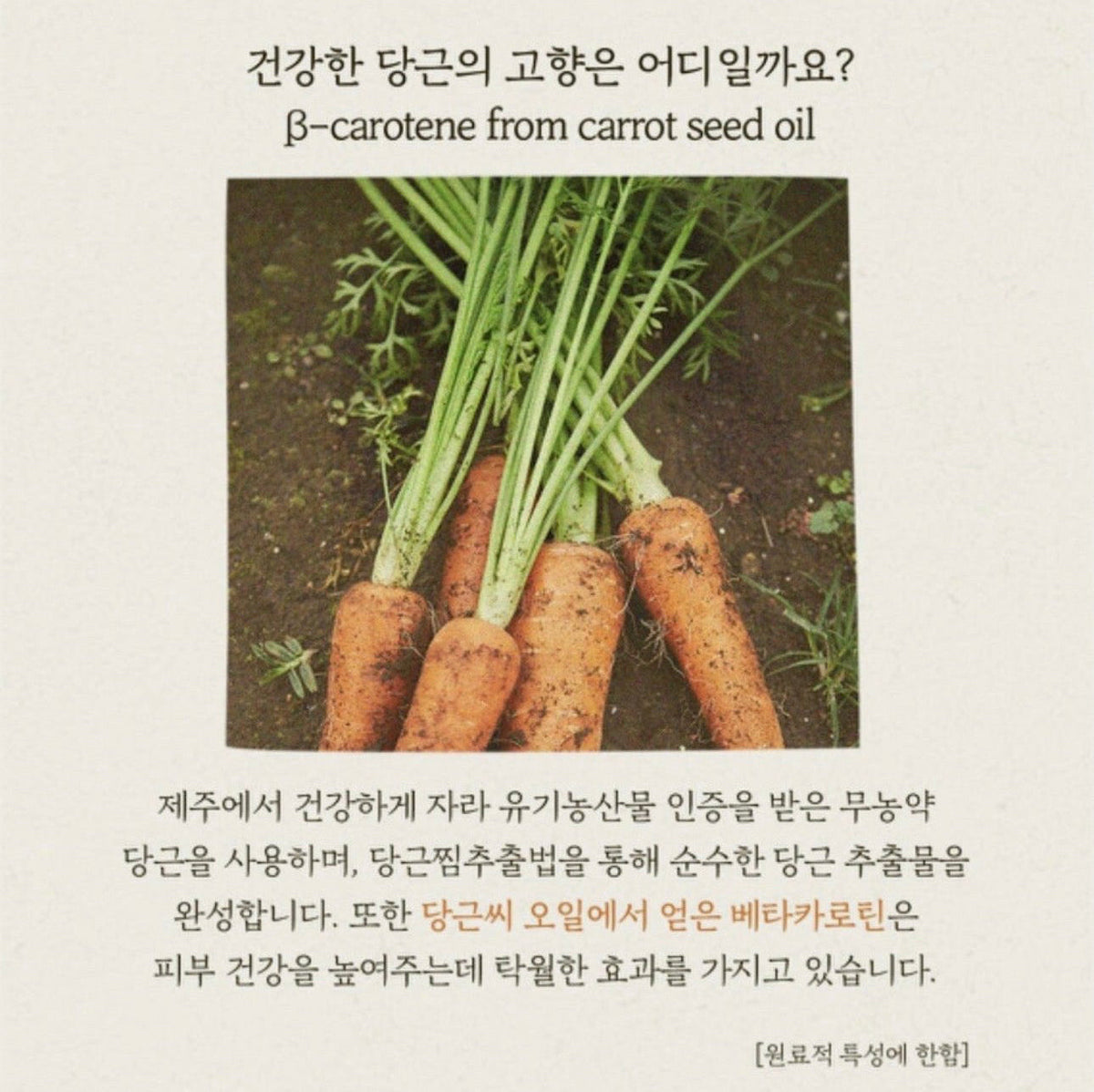 SKINFOOD Carrot Carotene Mask