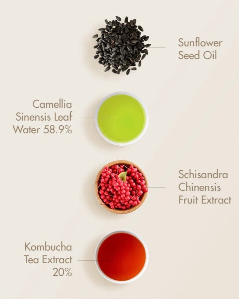 Dr. Ceuracle Vegan Kombucha Tea Essence